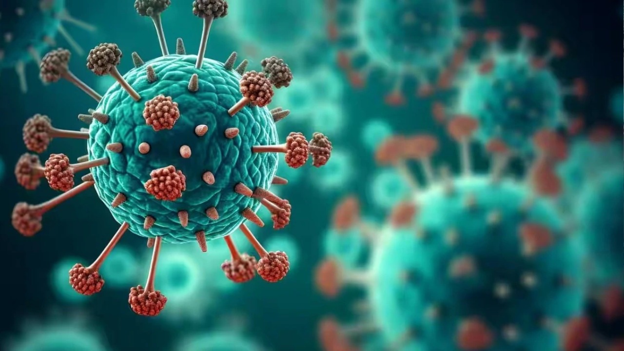 HKU1 Virus