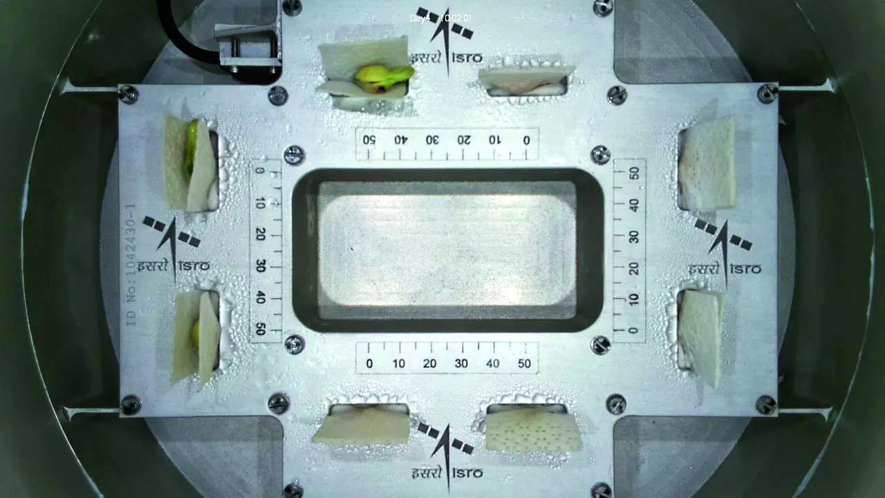 Isro