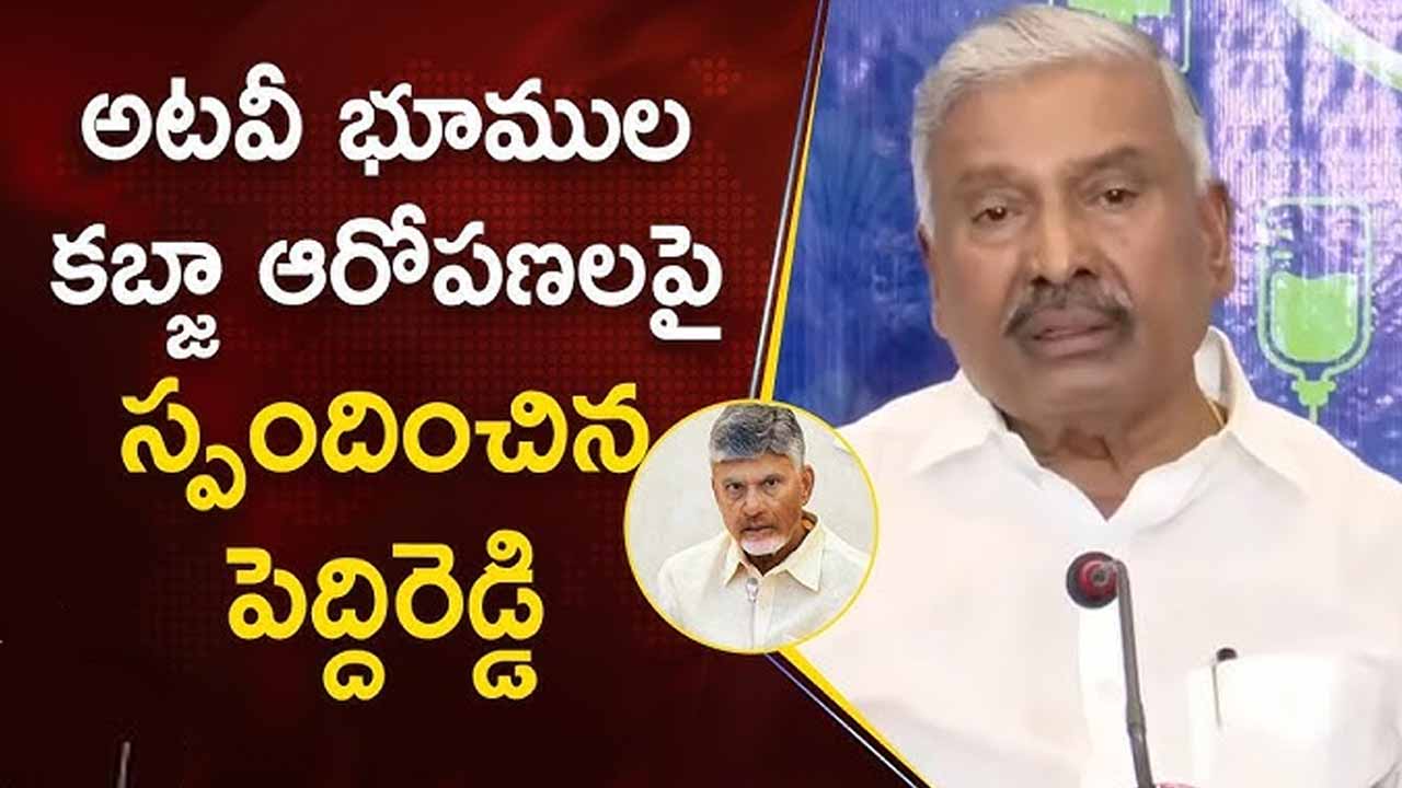 Peddireddy reacts on land encroachment