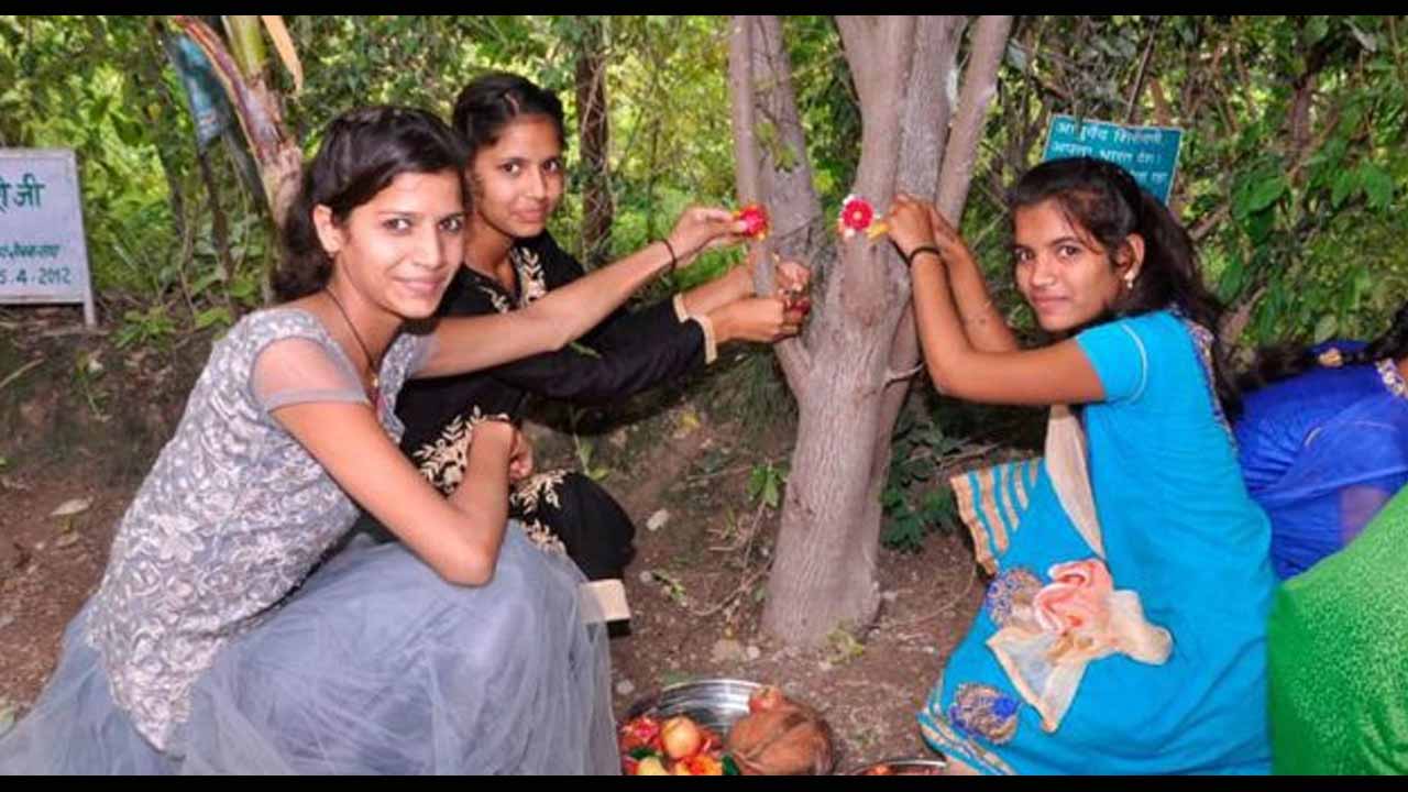 Piplantri Plants 111 Trees 
