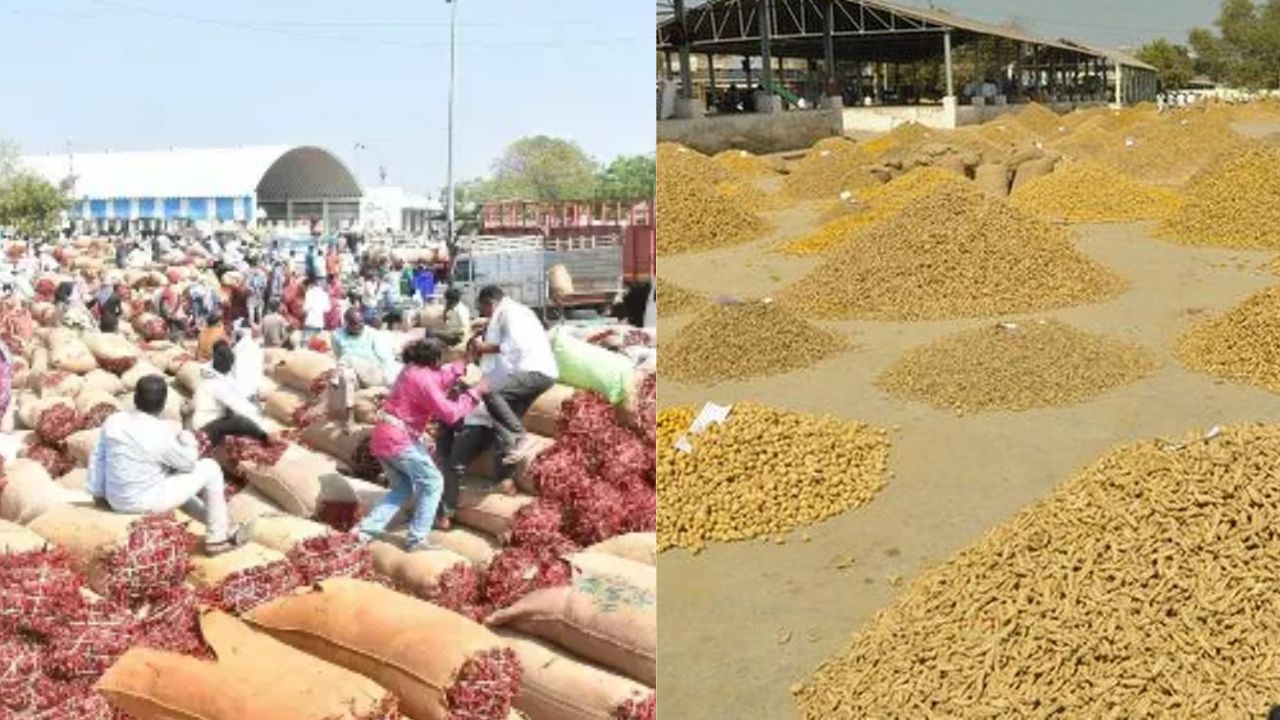 Private Agricultural Market Yards Telangana