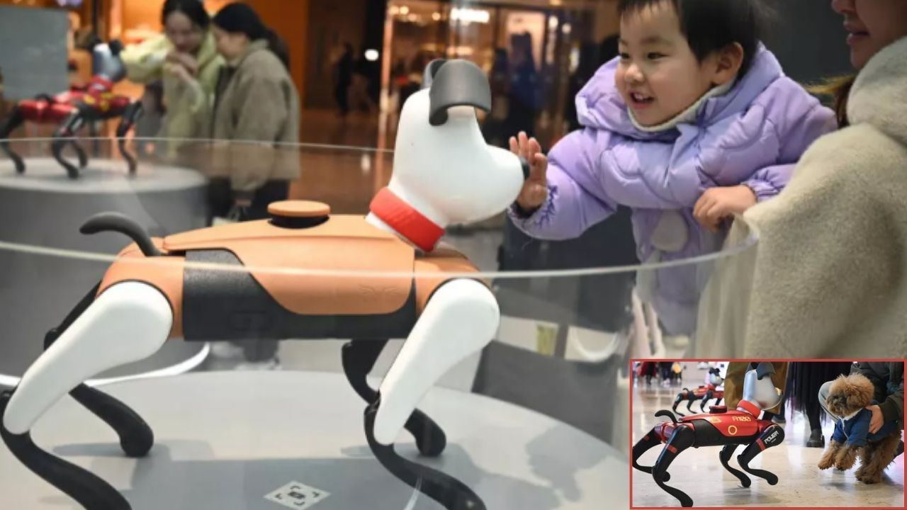 Social Robots Ai Social Robots Babyalpha Booboo Ai Pets