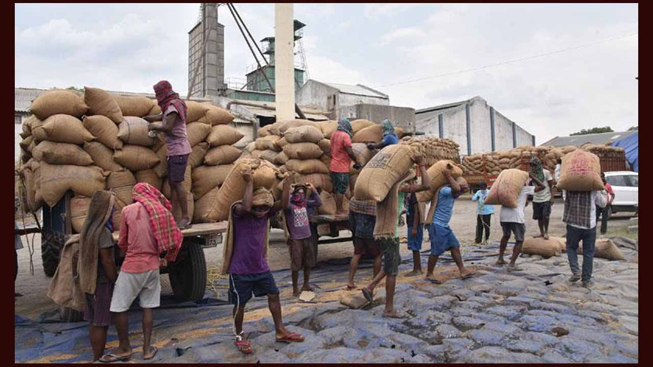 Porter Workers