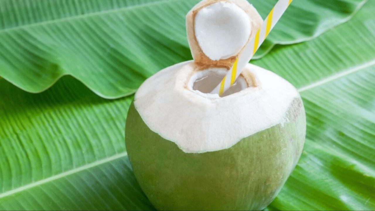 Coconut Water