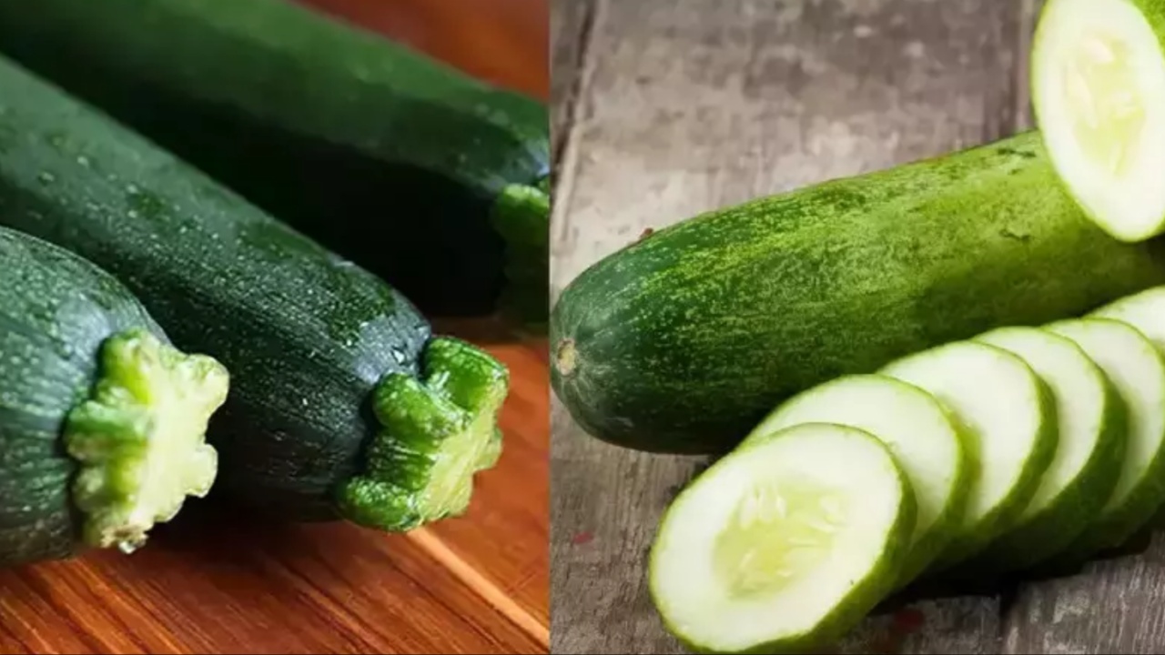 Cucumber