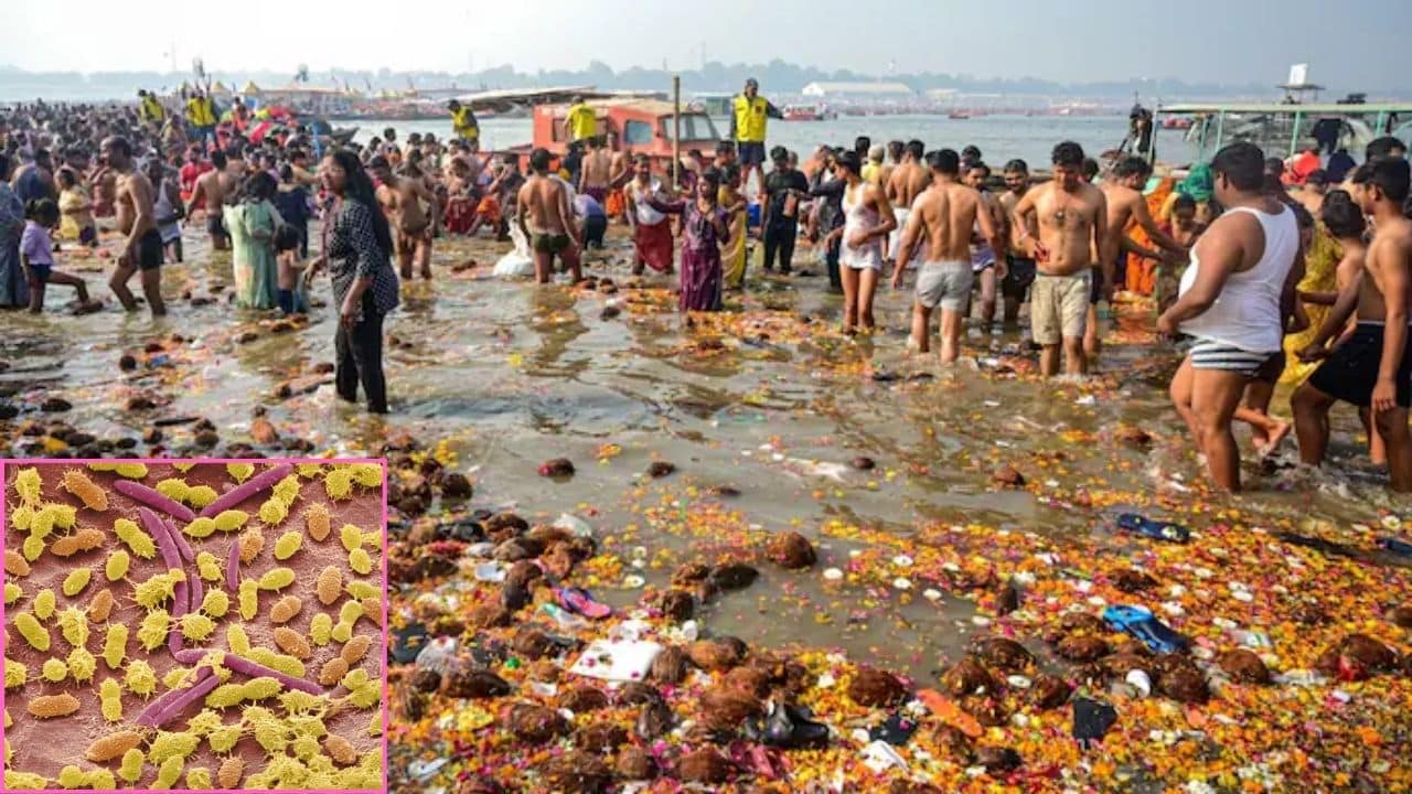 Maha Kumbh Faecal Bacteria Prayagraj Waters Min
