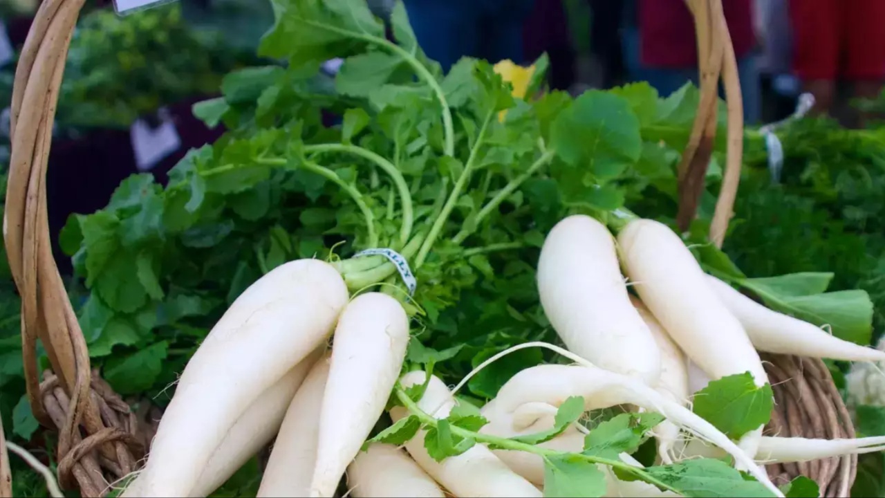Radish Leaves