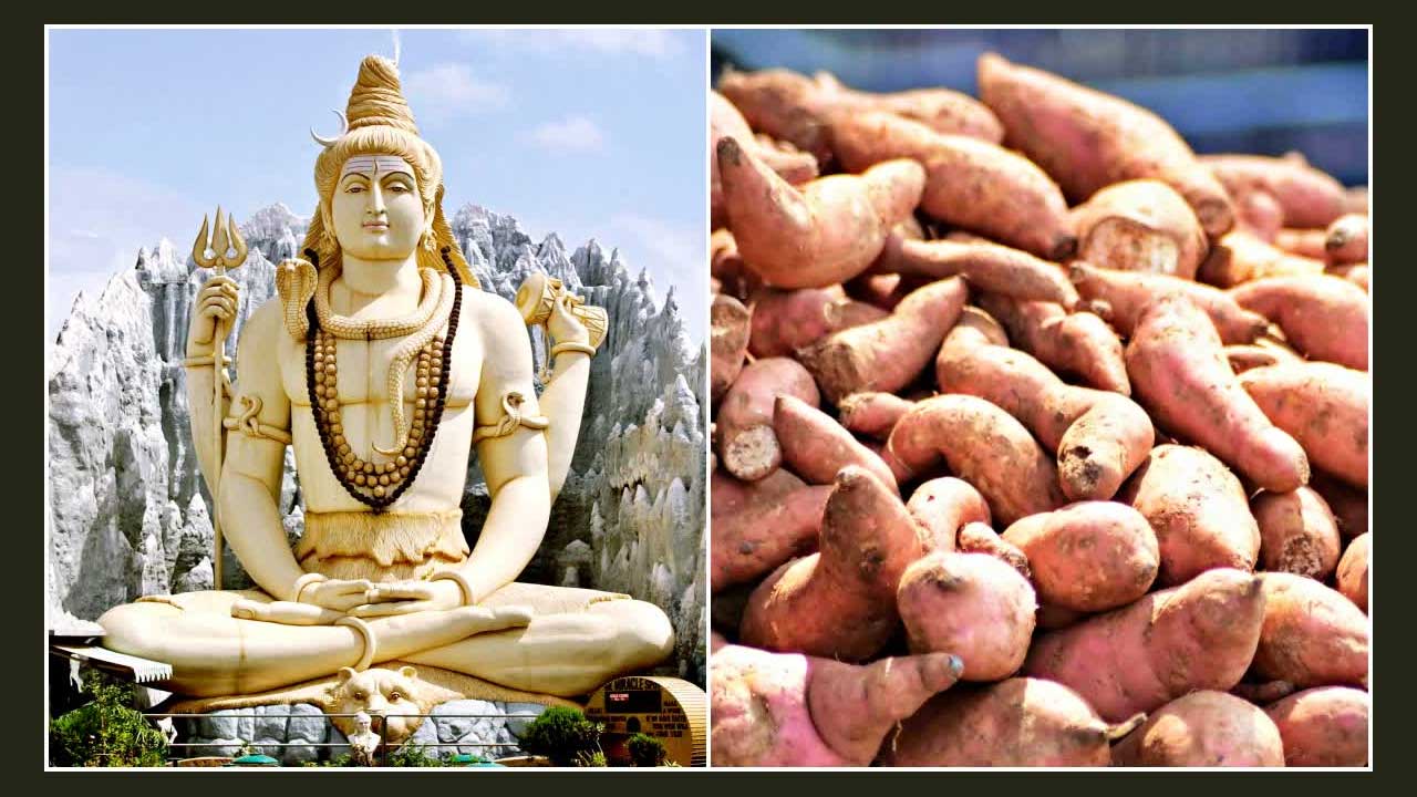Sweet Potato Benefits On Ma
