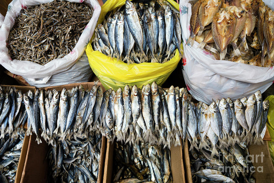 1 Dried Fish Carbon Market Cebu City Philippines Kevin Miller