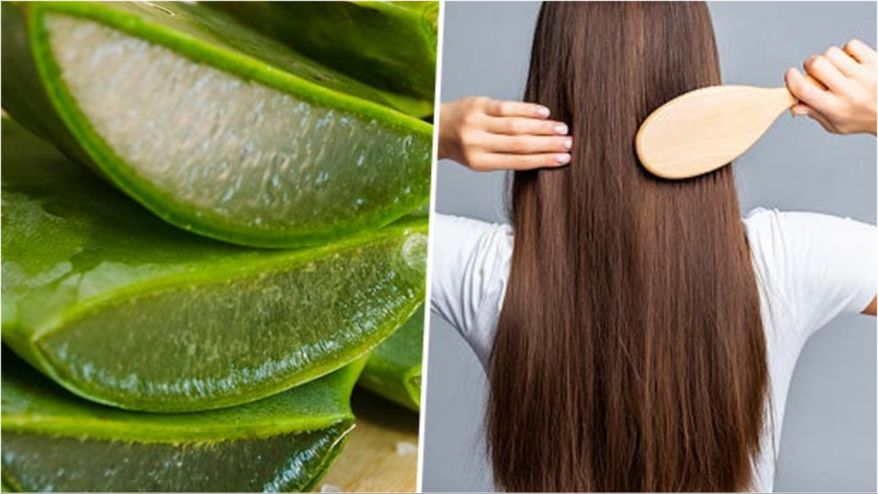 Aloevera