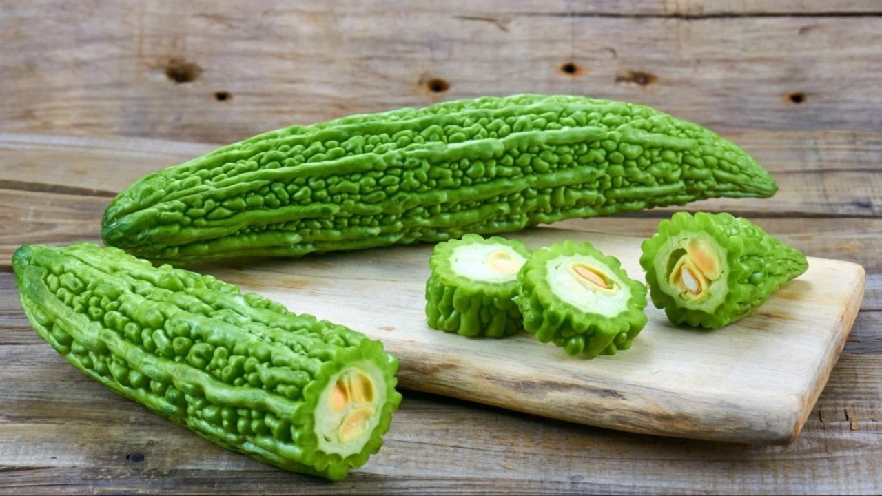 Bitter Gourd