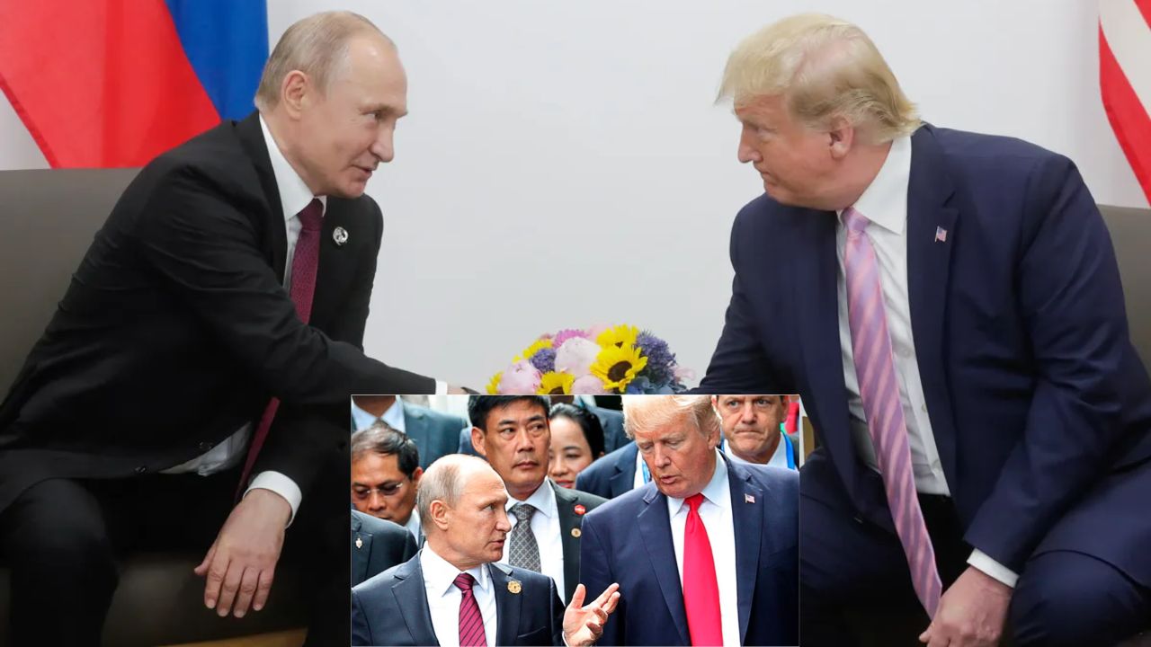 Donald Trump Kgb Agent Krasnov Agent Code Name Russia Putin