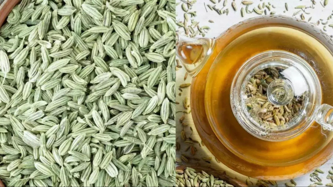 Fennel