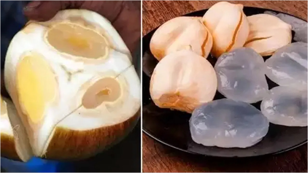 Ice Apple