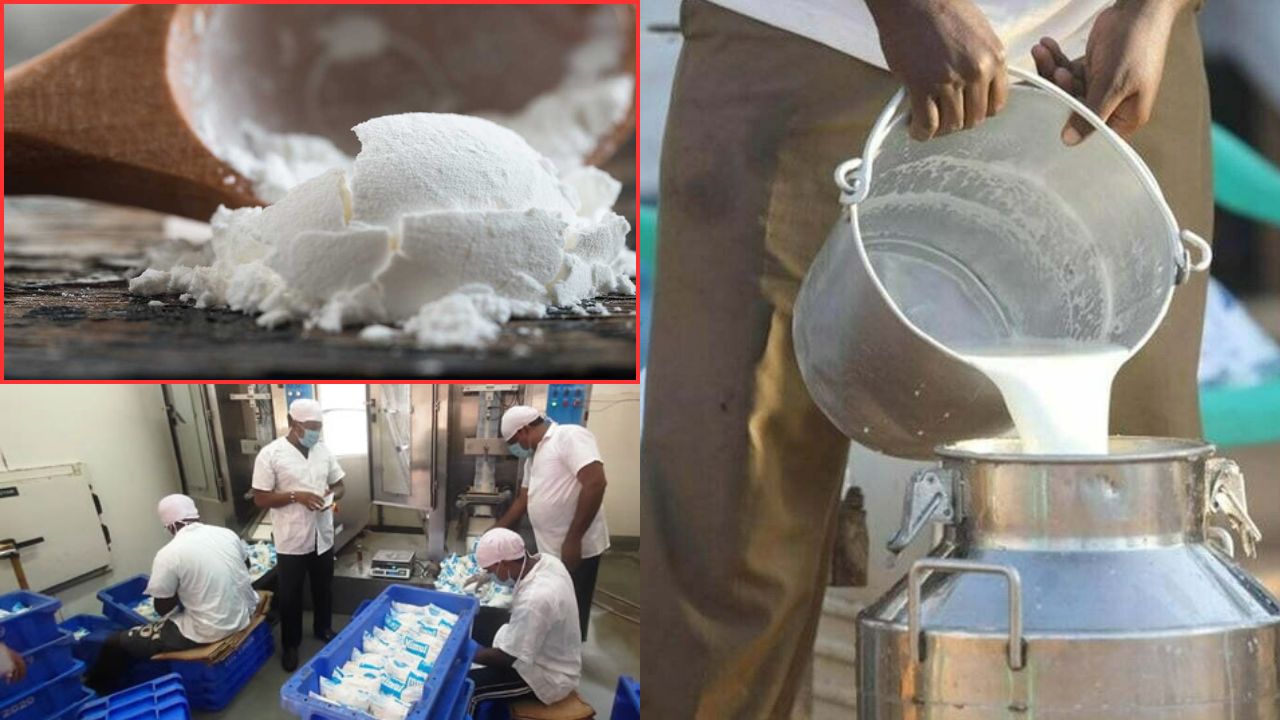 Maltodextrin For Thickening Milk Dangerous To Health Scam Exposed In Andhra Pradesh