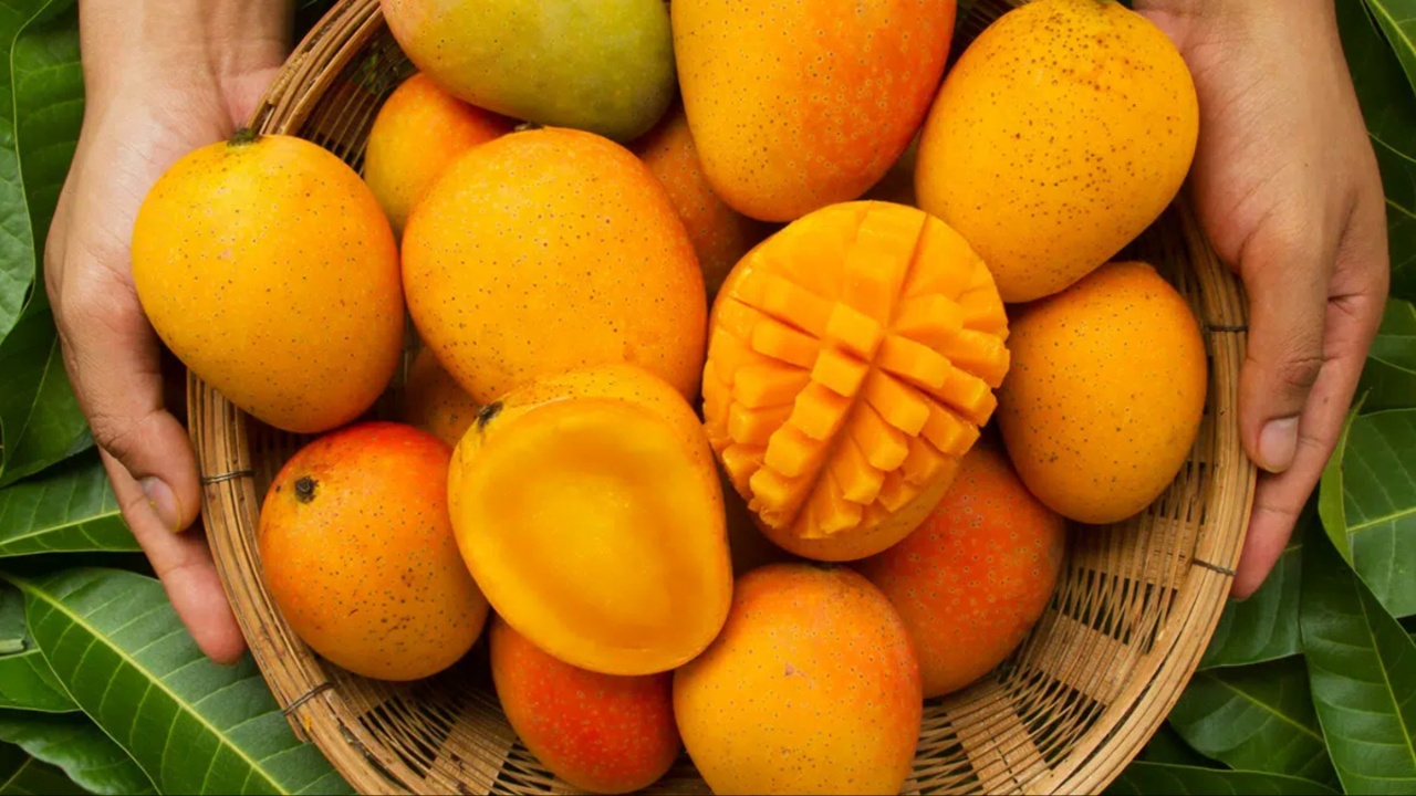 Mangos