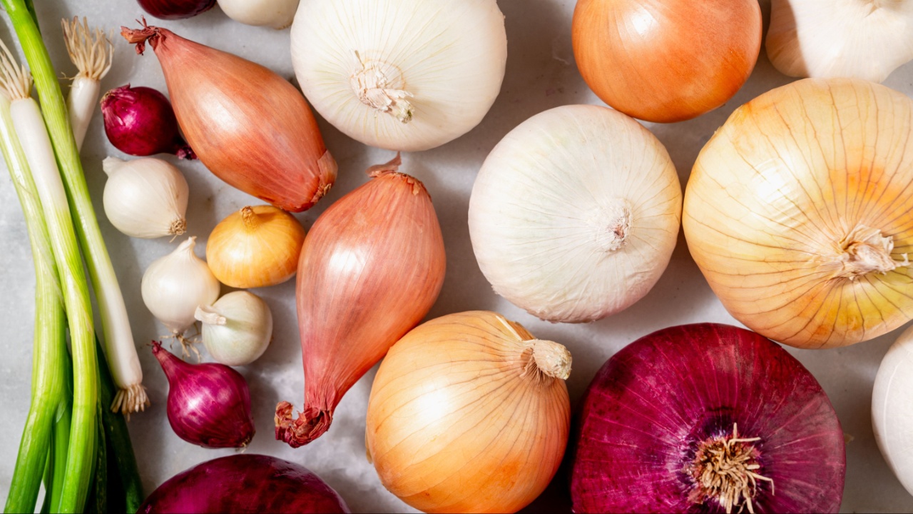 Onion