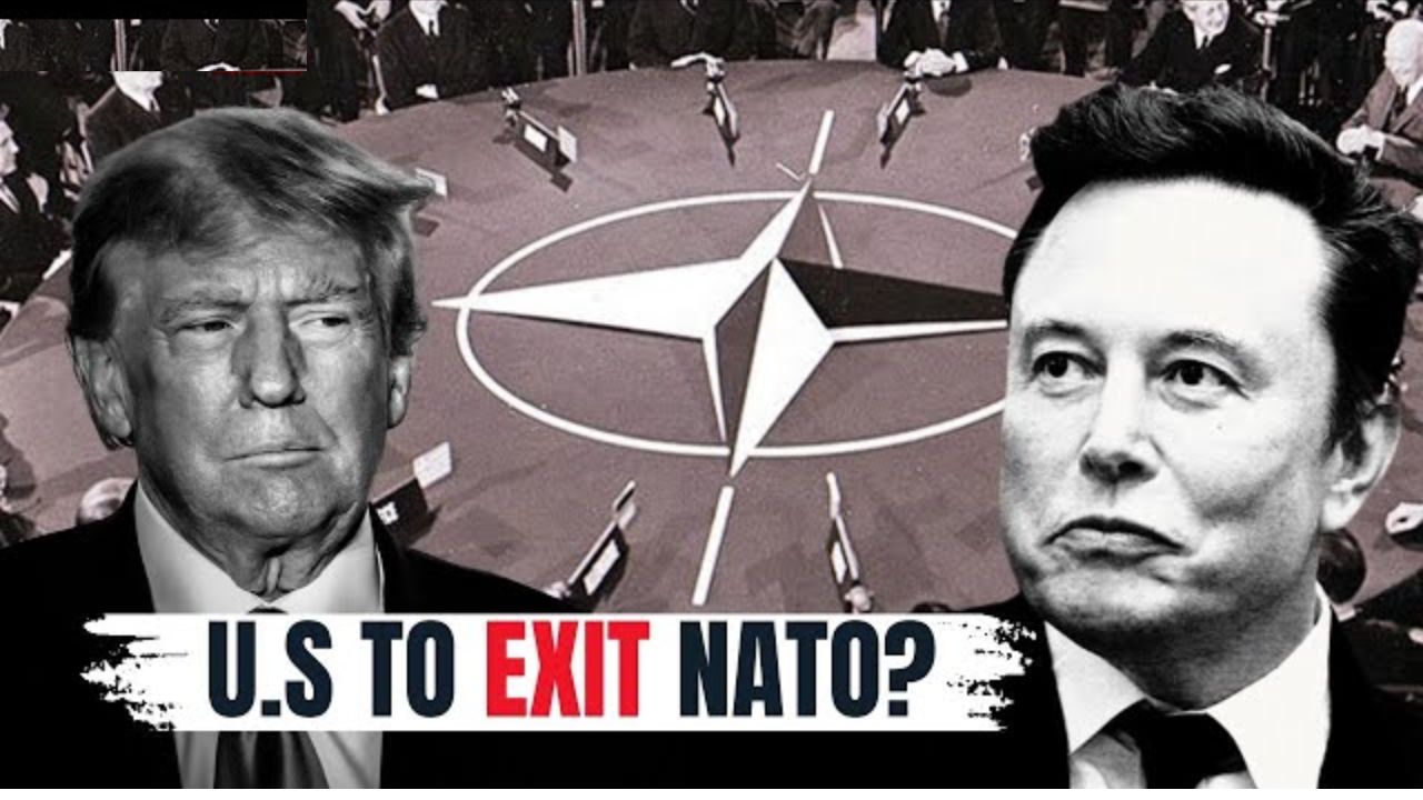 Us Vs Nato Elon Musk Us Nato United States Donald Trump Doge