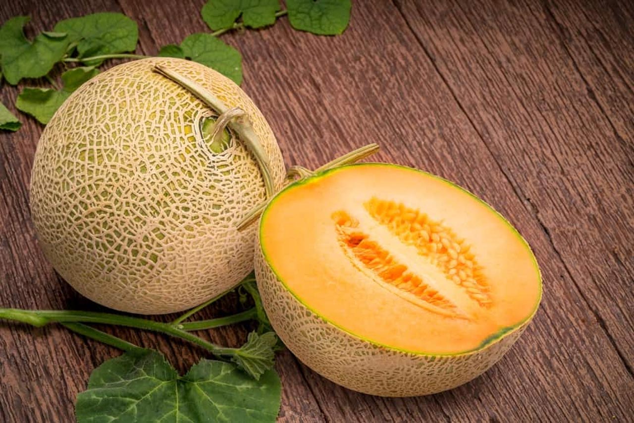 Yubari King Melon Fruit