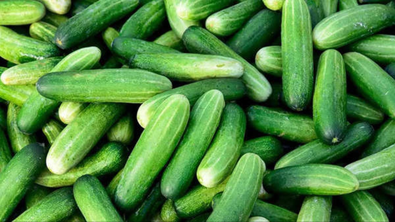 Cucumber