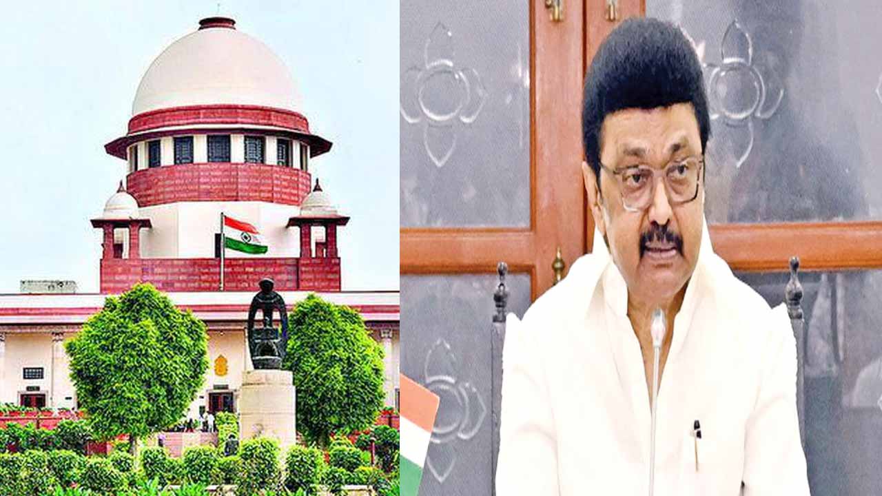 Relief for Stalin government in Supreme Court