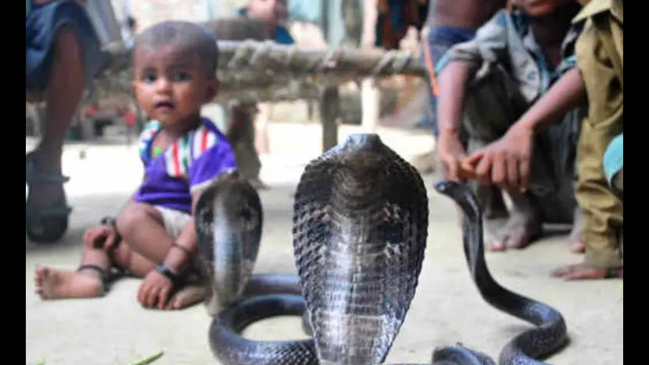 Snakes Village