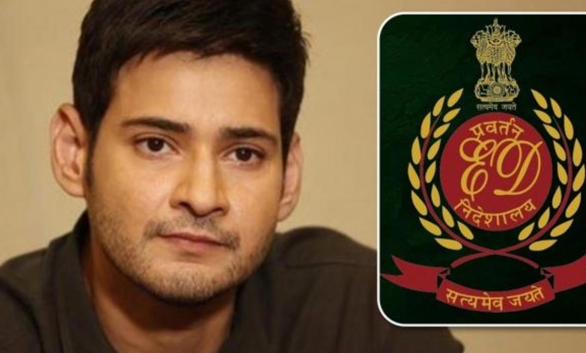 Mahesh Ed Office
