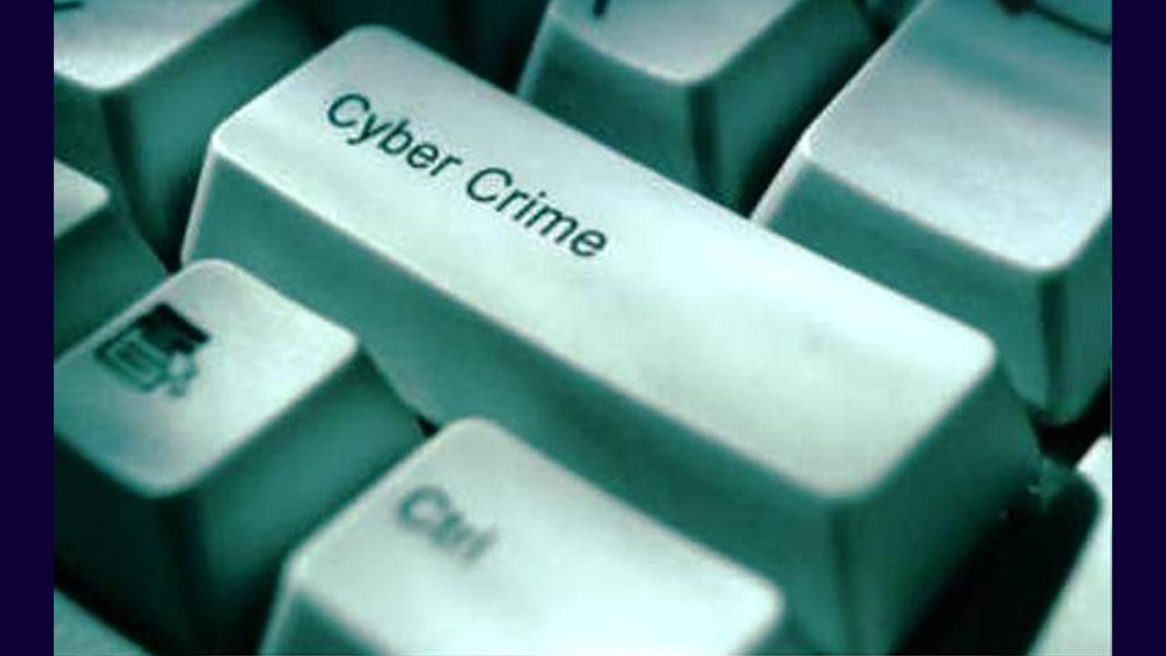 Cyber Frauds