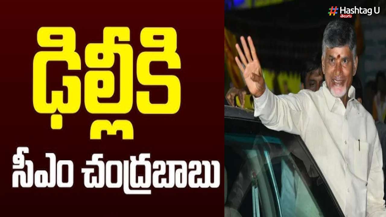 Cm Chandrababu Delhi Tour
