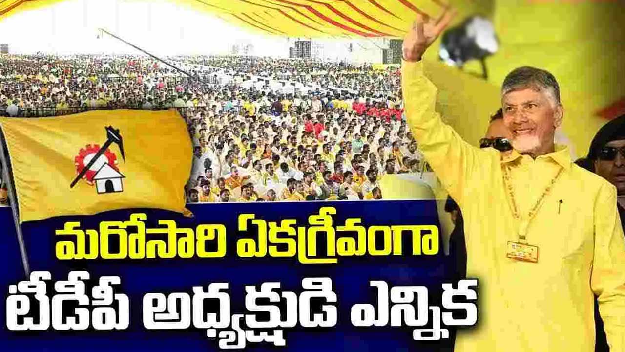 Chandrababu Naidu unanimously elected as TDP national president once again