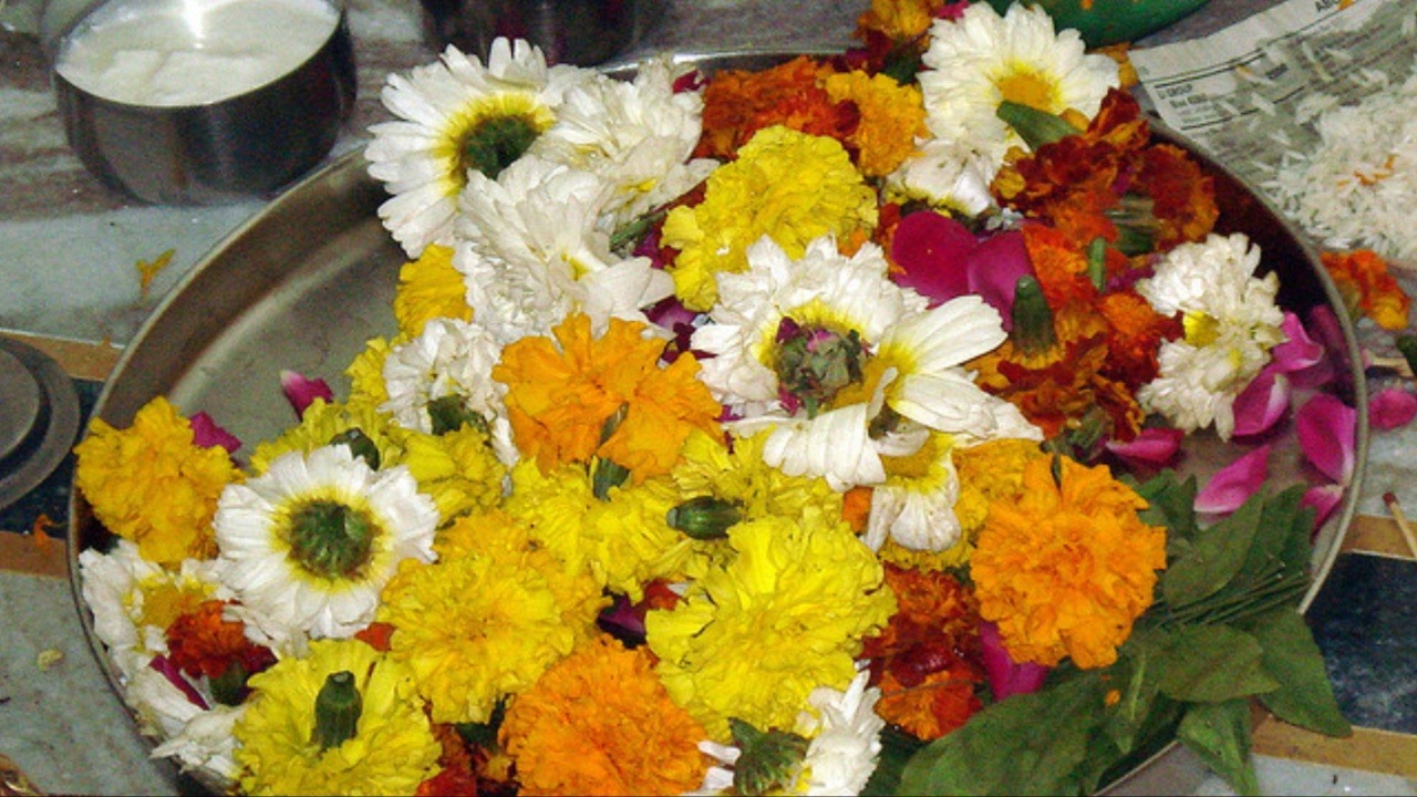 Flowersflowers
