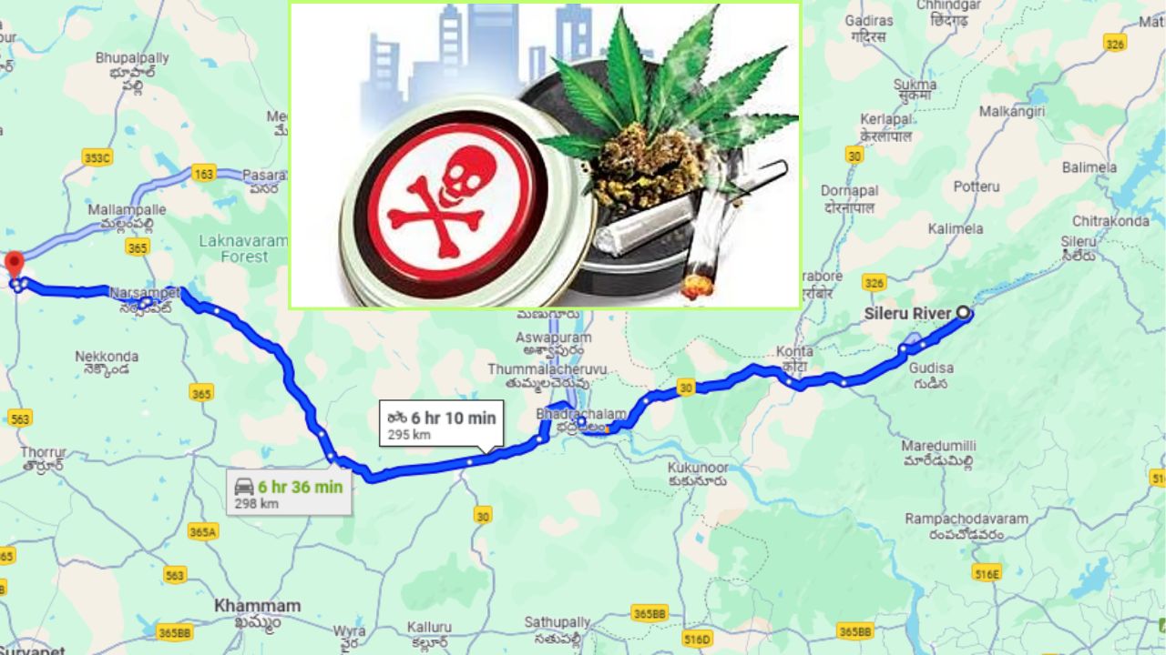 Ganja Racket Andhra Odisha Border Sileru To Warangal District Telangana Andhra Pradesh