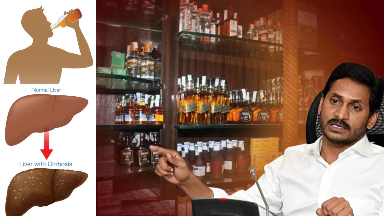 Ysrcp Govt Alcohol Effect Alcohol Related Liver Diseases Andhra Pradesh
