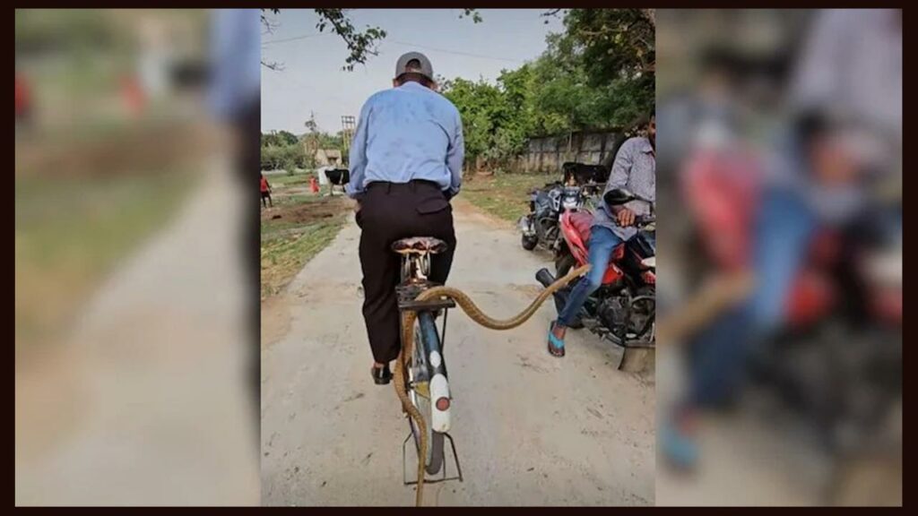 Bicycle Is Surprised To Fin