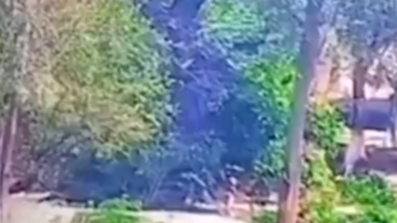 BSF Video