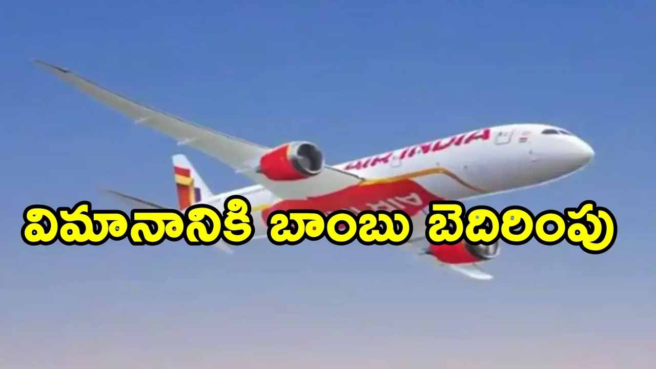 Air India Flight