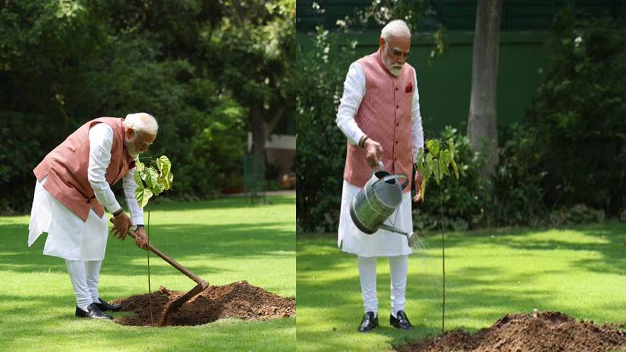 This plant is a strong symbol of the strength, bravery and inspiration of our country's women: PM Modi