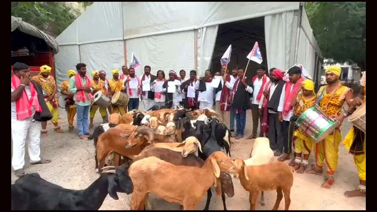 Shepherd Community Protests