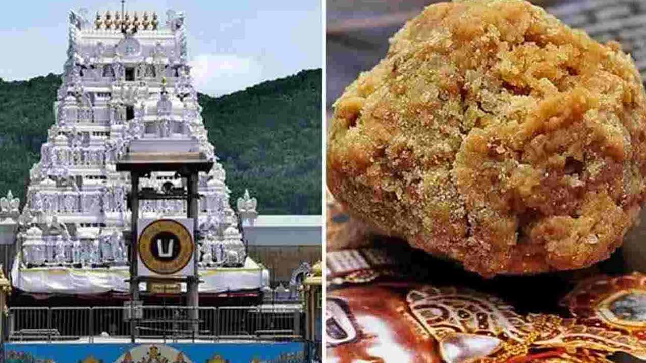 Tirumala laddu adulteration issue.. SIT report to Supreme Court