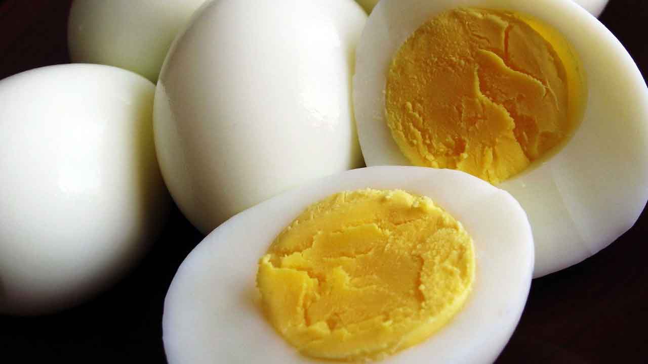 Egg