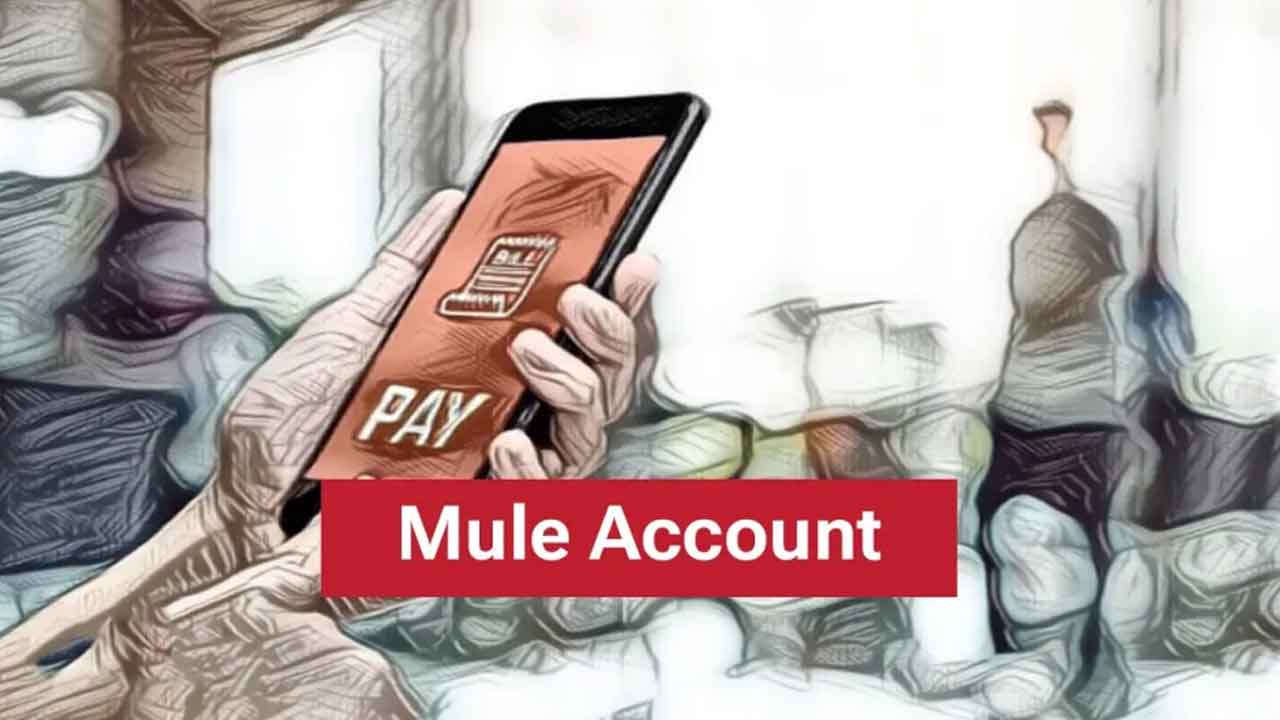 Mule Account