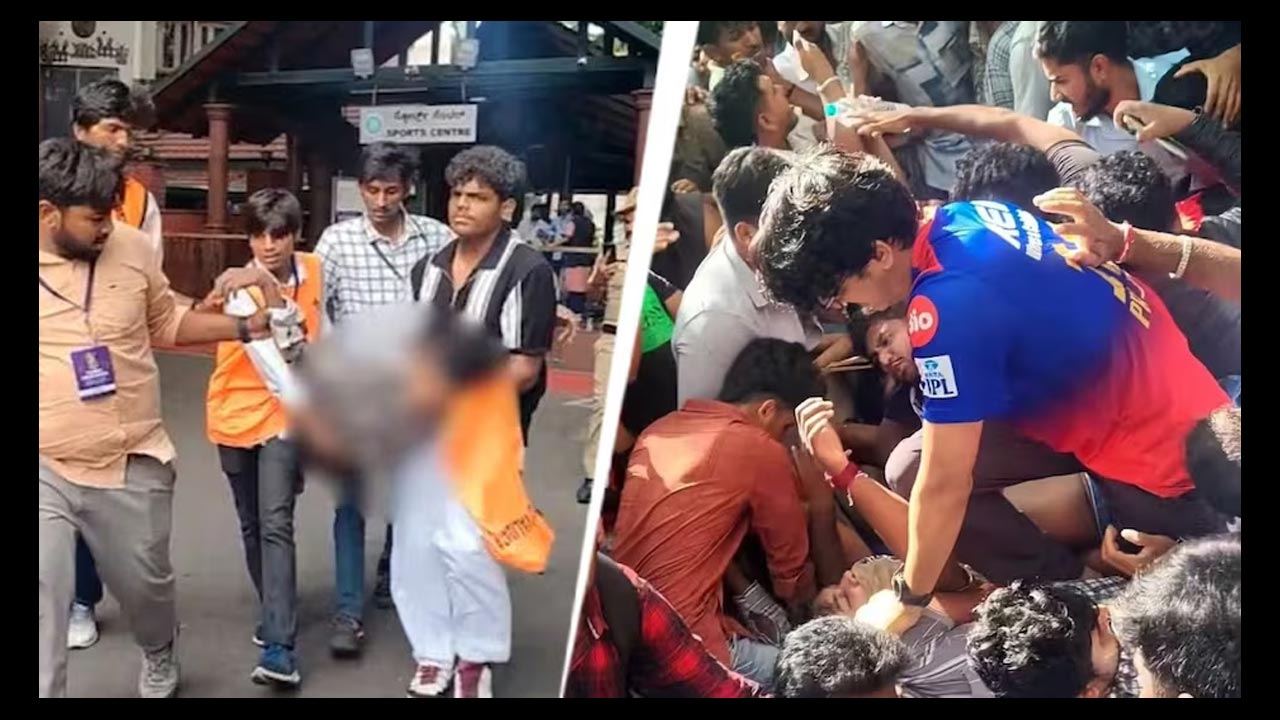 Rcb Stampede