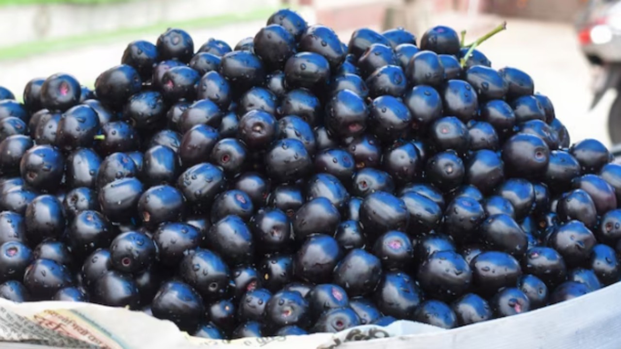 Jamun