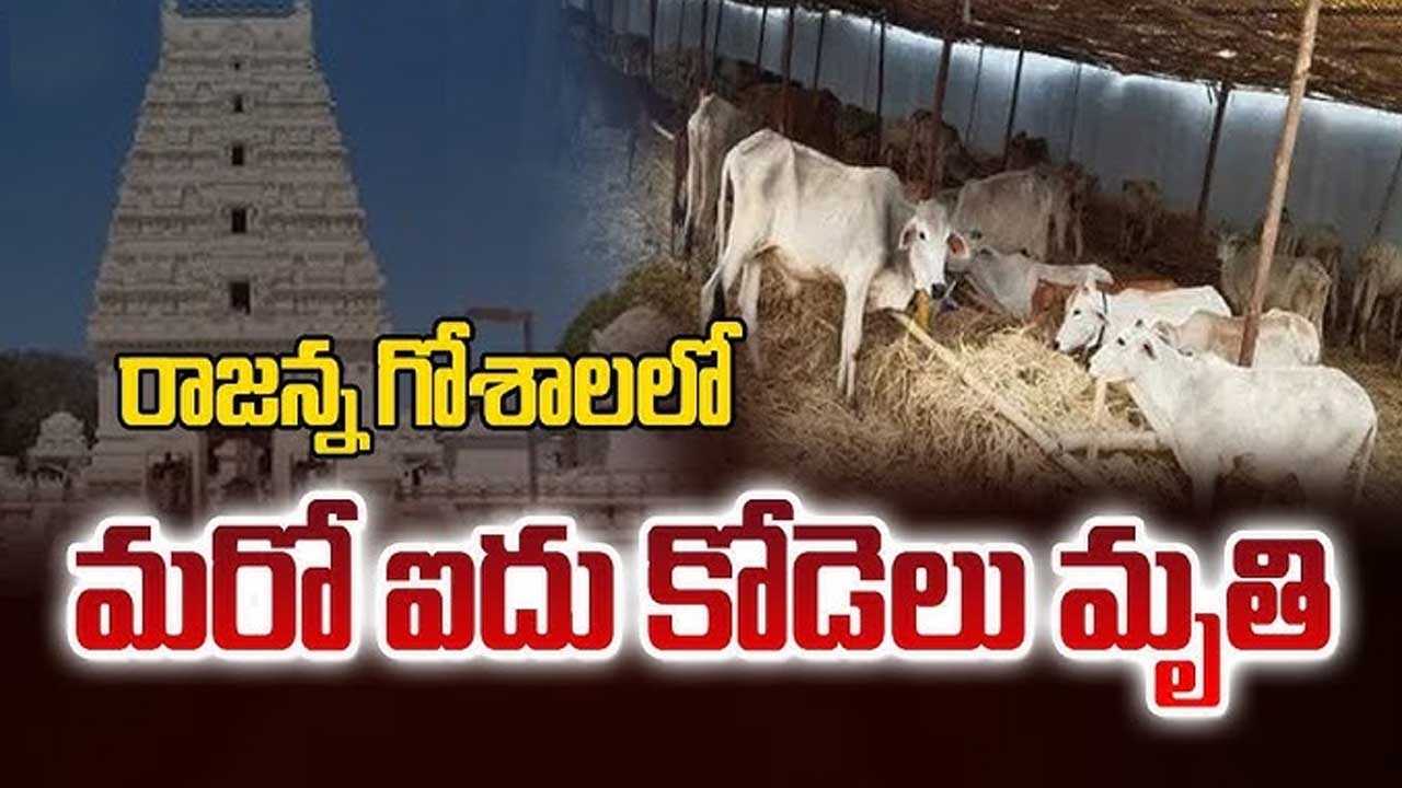 Vemulawada