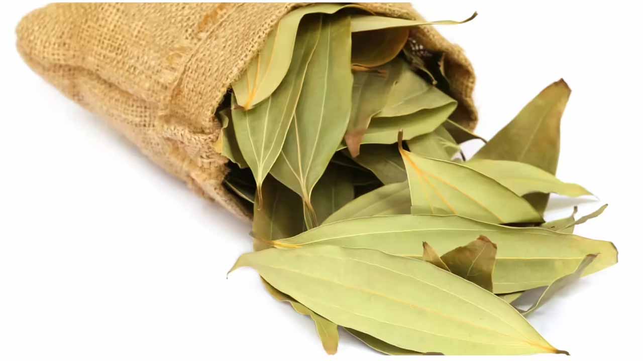Biryani leaves..not only tasty, but also a secret weapon for health..how about that..?!