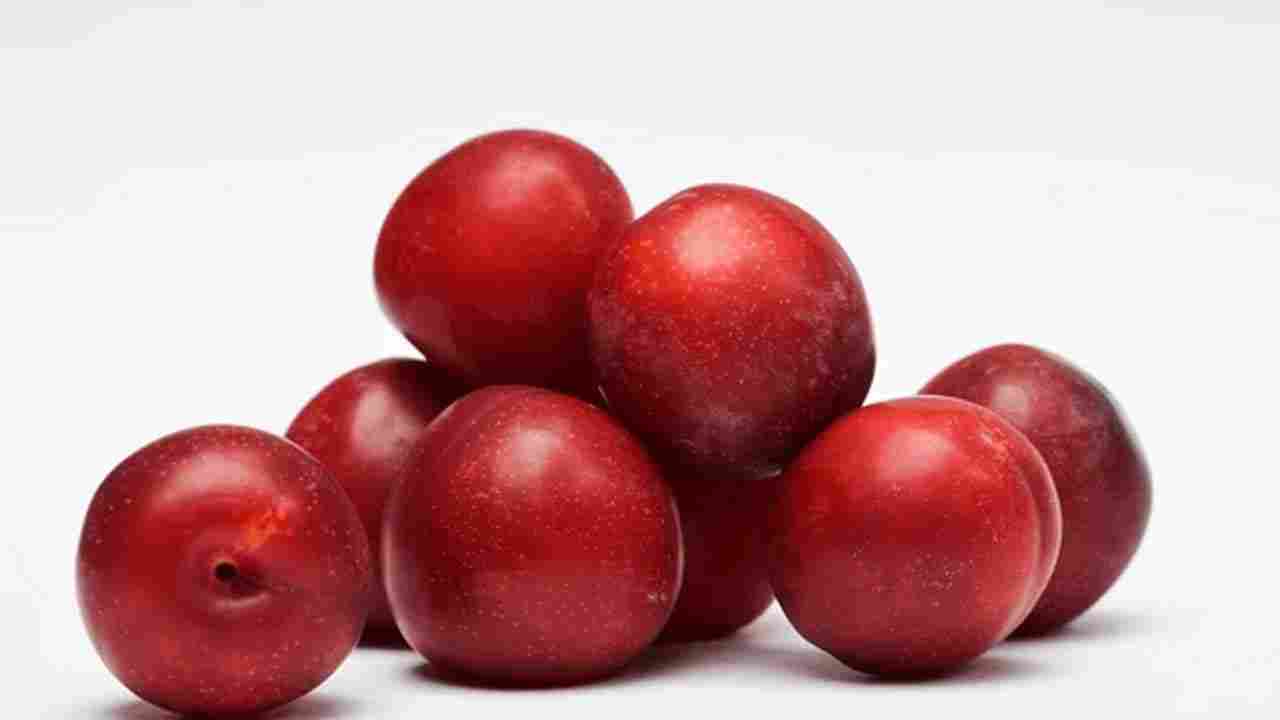 Al Bukhara Fruit