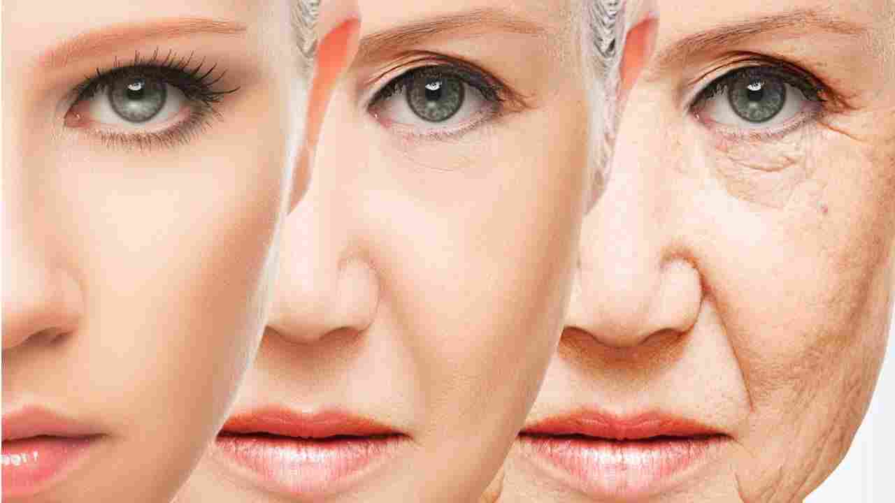 Anti Aging