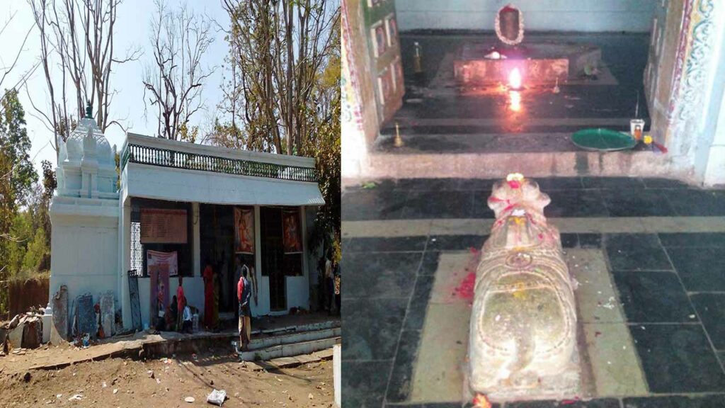 Do you know where Lord Shiva sleeps in the Nallamala forest...and can be seen only two days a year?