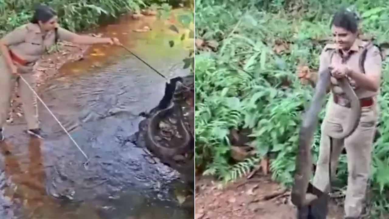 Female officer catches 18-foot-long king cobra, netizens salute her courage