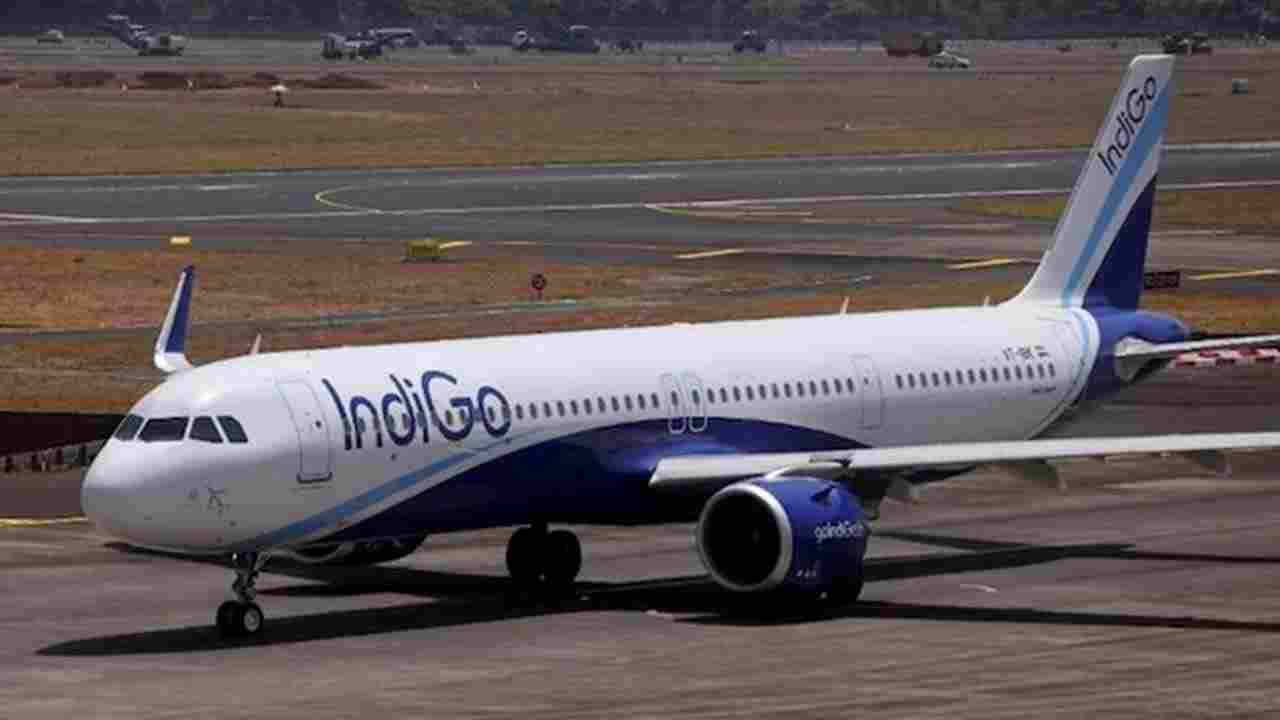 IndiGo